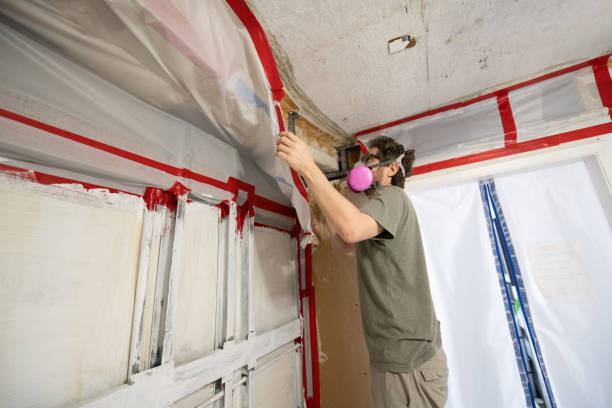 Best Industrial Mold Remediation  in Level Park Oak Park, MI