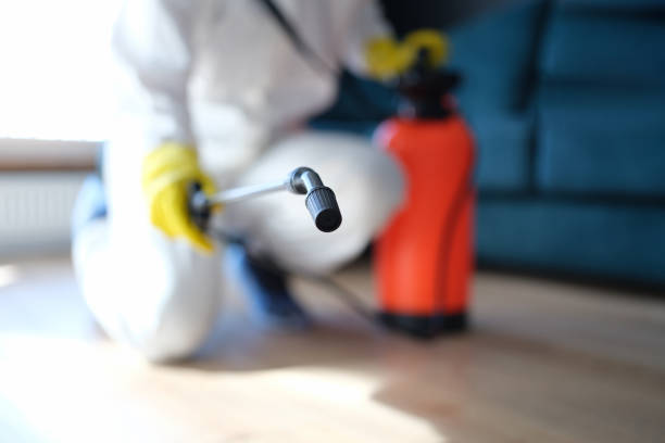 Best Air Quality Testing for Mold Spores  in Level Park Oak Park, MI