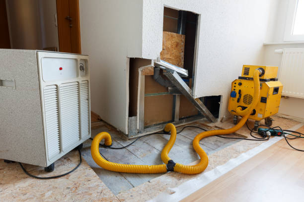 Best Mold Prevention Services  in Level Park Oak Park, MI